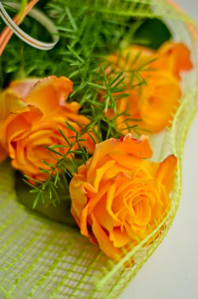 Beautiful yellow roses — Stock Photo, Image