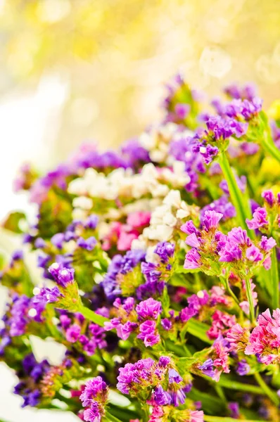 Floral postcard — Stock Photo, Image