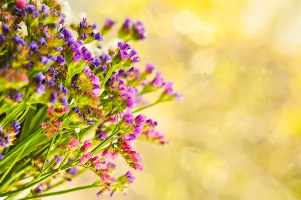 Floral postcard — Stock Photo, Image