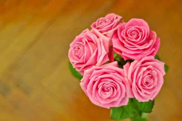 Beautiful roses stock image — Stock Photo, Image