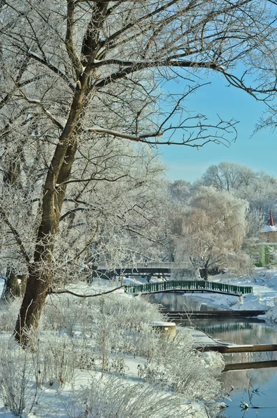 Bella vista sul fiume e sul parco in inverno — Foto Stock