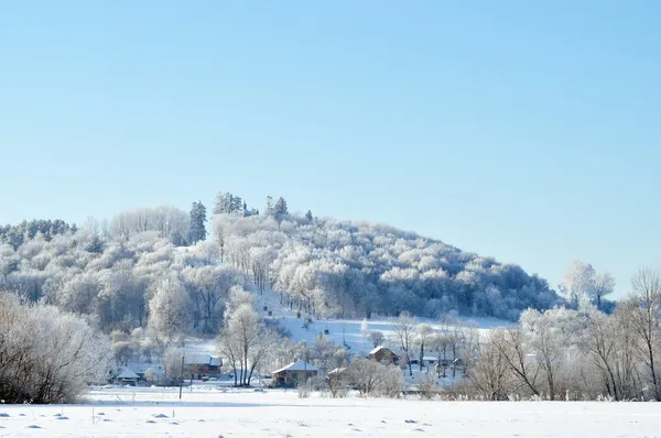 Hermosa vista sobre el bosque bajo la nieve — Foto de Stock