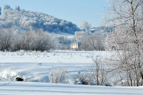 Hermosa vista sobre el bosque bajo la nieve —  Fotos de Stock