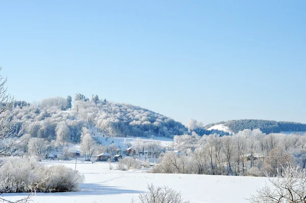 Hermosa vista sobre el bosque bajo la nieve — Foto de Stock