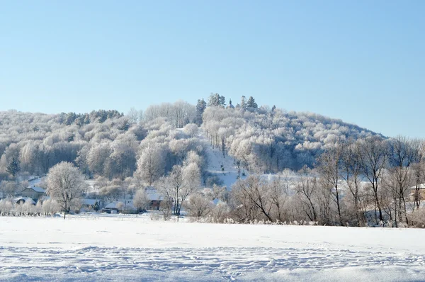 Belle vue sur la forêt sous la neige — Photo