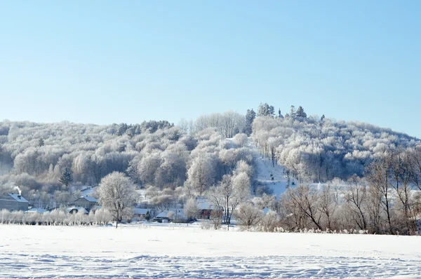 Hermosa vista sobre el bosque bajo la nieve —  Fotos de Stock