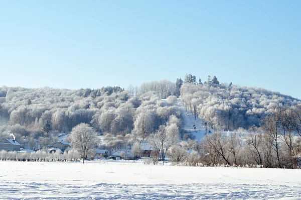 Hermosa vista sobre el bosque bajo la nieve — Foto de Stock