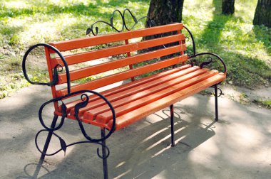 sonbahar bir parkta bir bankta