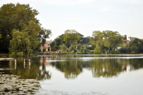 Lago no parque — Fotografia de Stock