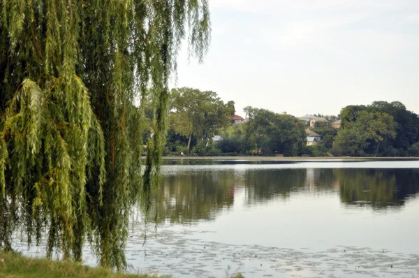 Lago no parque — Fotografia de Stock