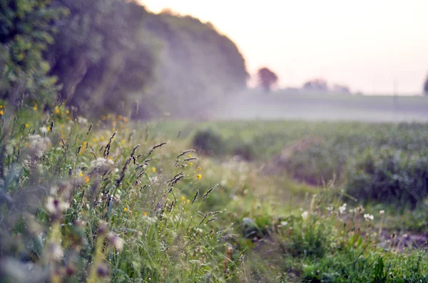 Bela paisagem rural ao pôr do sol — Fotografia de Stock