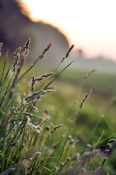 Bela paisagem rural ao pôr do sol — Fotografia de Stock