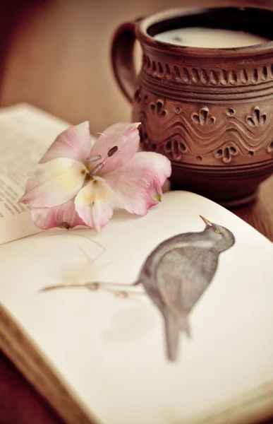 静物花卉、 书和杯的复古照片 — 图库照片