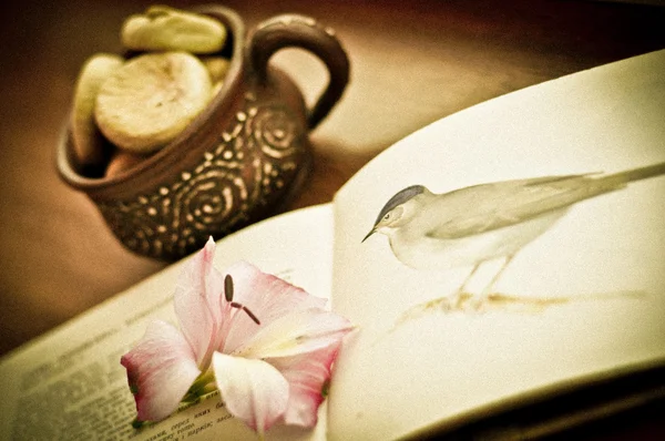 Uma foto ainda vida vintage de flor, livro e xícara — Fotografia de Stock