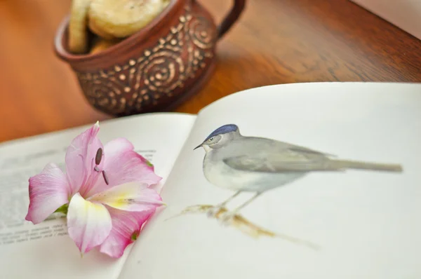 Una foto de la vendimia bodegón de flor, libro y copa —  Fotos de Stock