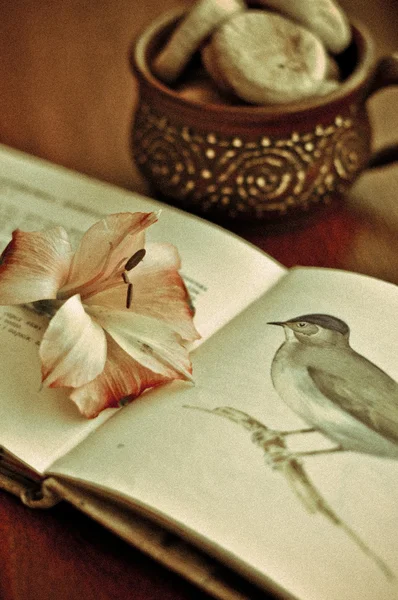 Une photo vintage nature morte de fleur, livre et tasse — Photo