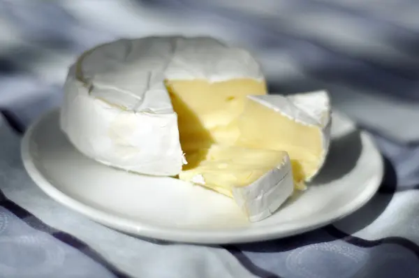 Ser Camembert — Zdjęcie stockowe