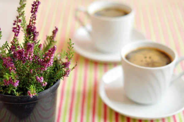 Two cups of morning coffee — Stock Photo, Image