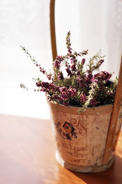 Beautiful purple heather in a vintage wooden pot — Stock Photo, Image