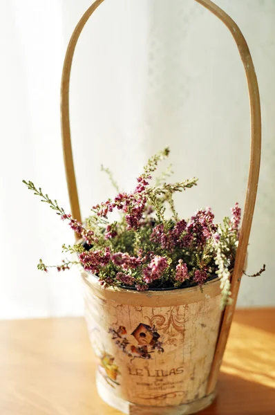 Beautiful purple heather in a vintage wooden pot — Stock Photo, Image