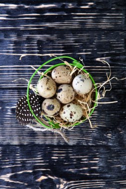 bıldırcın yumurtası