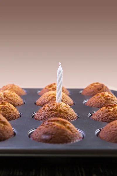 Cupcakes — Stock Photo, Image