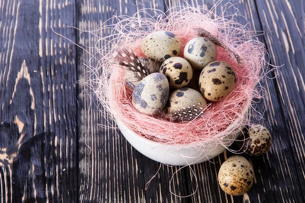 Quail eggs — Stock Photo, Image