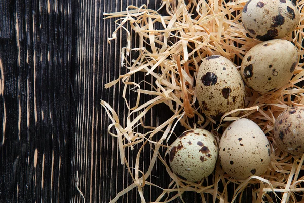 Quail eggs — Stock Photo, Image