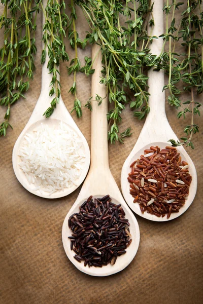 Red and white rice on wooden spoons — Stock Photo, Image