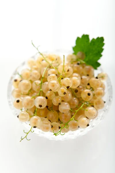 White currant — Stock Photo, Image