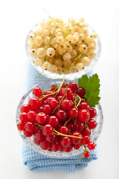 Groseille blanche et rouge — Photo