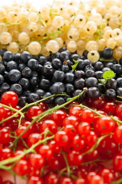 Beeren — Stockfoto