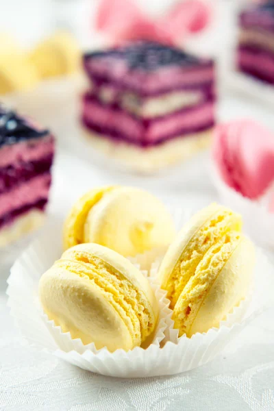 Colorful macaroons and biscuit cake — Stock Photo, Image