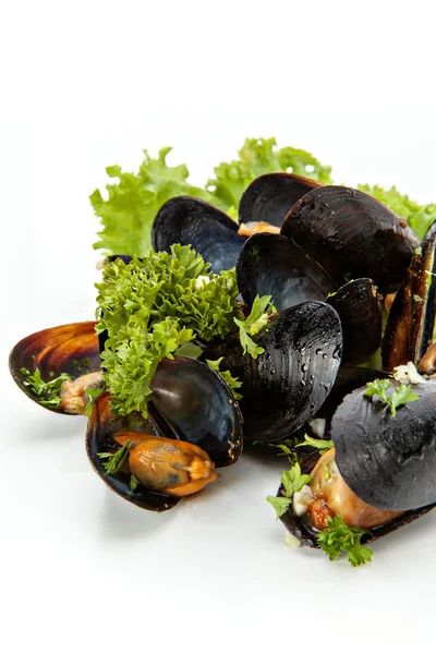 Cozze — Foto Stock