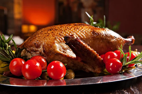 Holiday turkey — Stock Photo, Image