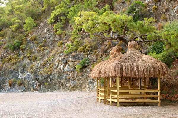 tropikal plaj evleri