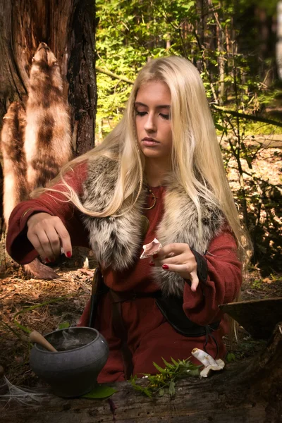 Scandinavian witch pythoness cooking potion — Stock Photo, Image