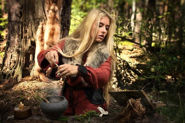 Skandinaviska häxan pythoness matlagning potion — Stockfoto