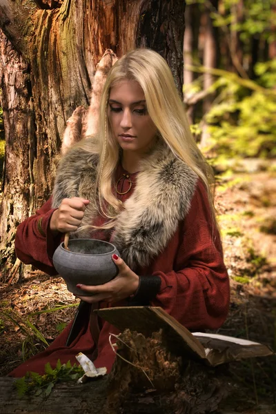 斯堪的纳维亚女巫 pythoness 烹饪药水 — 图库照片