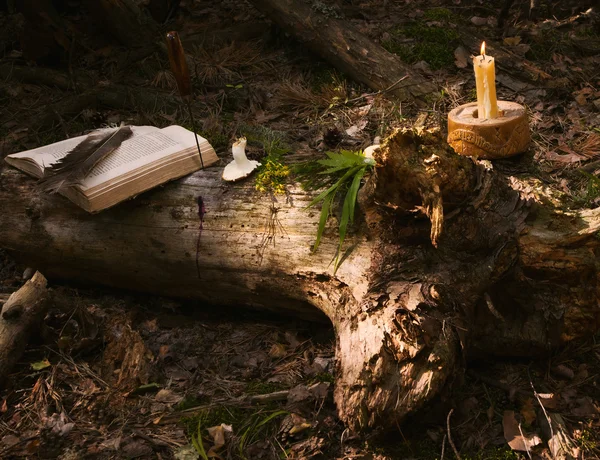 Häxan plats att förbereda potions — Stockfoto