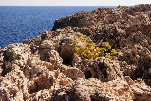 Морской пейзаж со скалой. Айя-Напа — стоковое фото