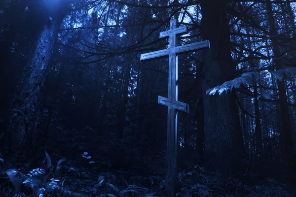 Cross in the misty forest — Stock Photo, Image