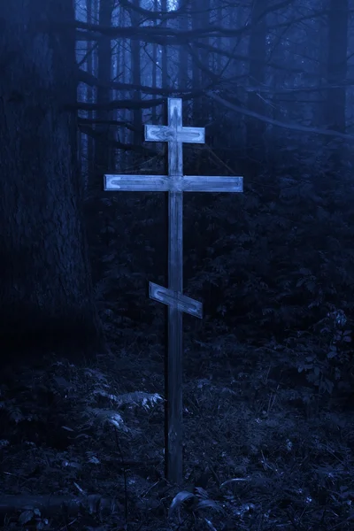 Croix dans la forêt brumeuse — Photo