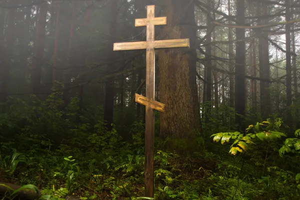 Cross in the misty forest — Stock Photo, Image