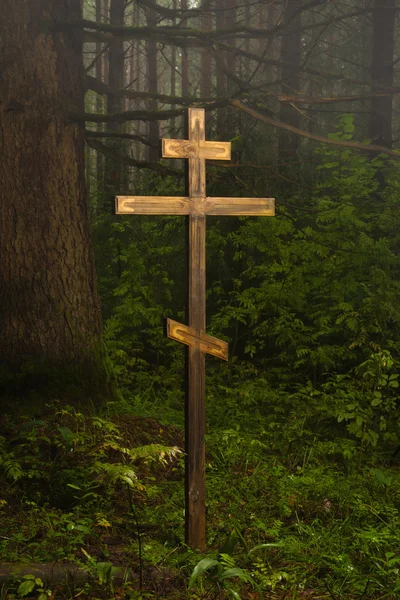 Cross in the misty forest — Stock Photo, Image