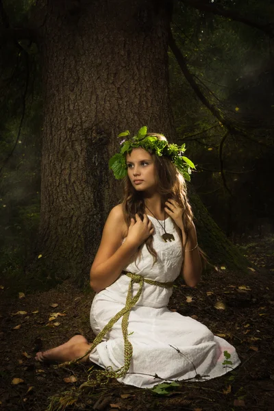 深い森のワインタンク女の子 ロイヤリティフリーのストック写真