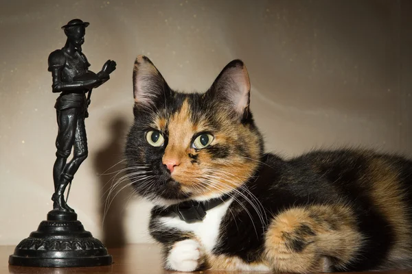 Cat and a statuette of Don Quixote — Stock Photo, Image