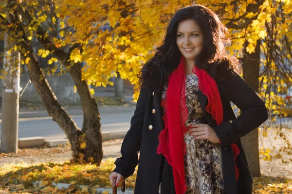 Krásná brunetka v podzimním parku — Stock fotografie