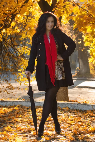 Krásná brunetka v podzimním parku — Stock fotografie