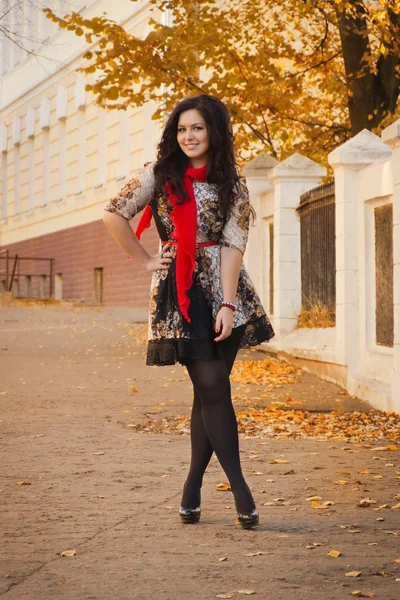 Pretty brunette in autumn park — Stock Photo, Image